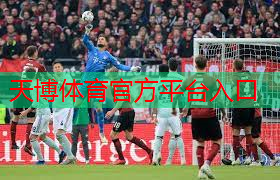田径比赛专用器材传递棒